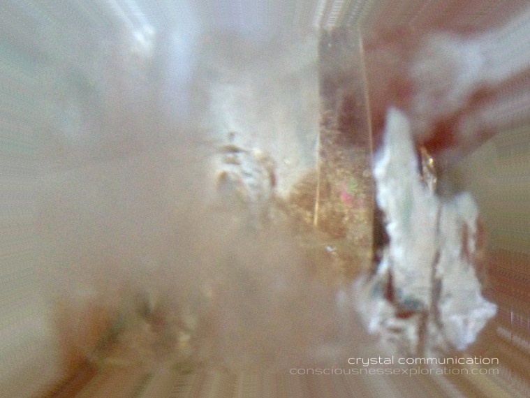 FA2E6E3C-9E4E-4D27-9615-5EE6DE39B021