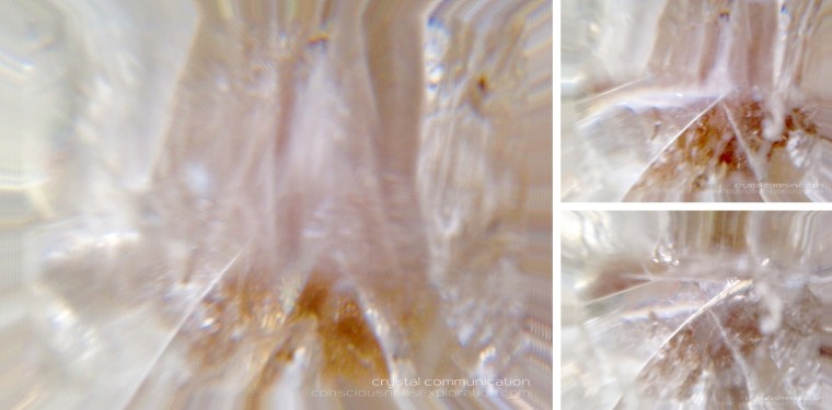 FDA2AC31-10CC-4365-93AA-947323884C1B